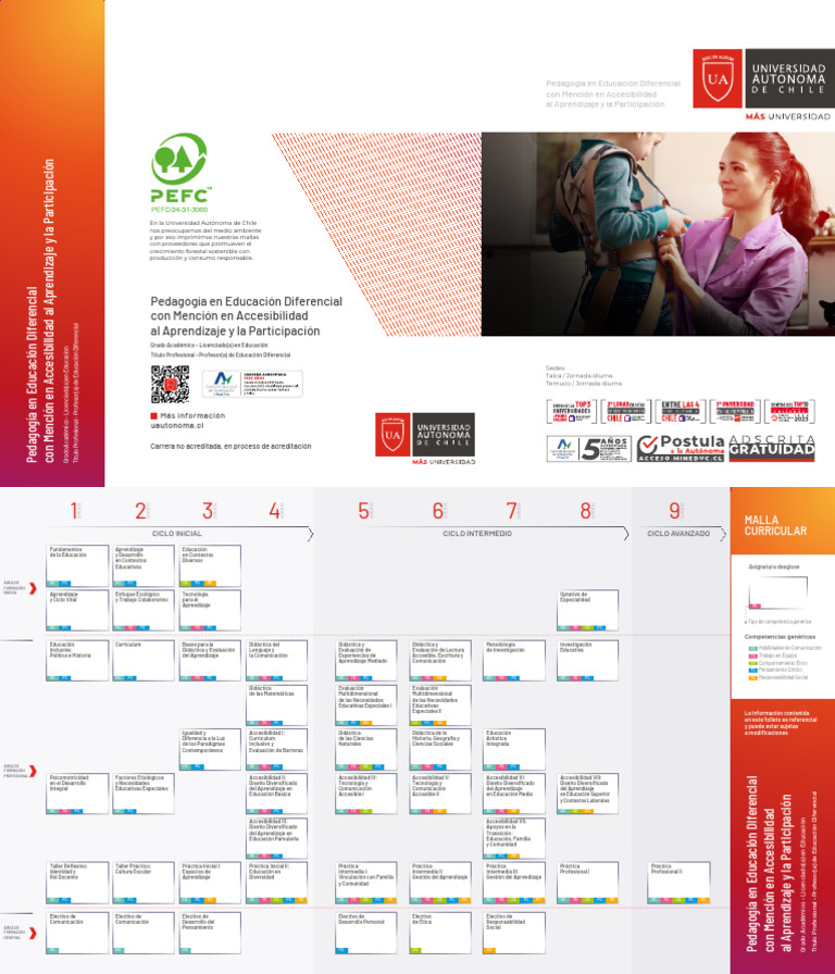 Pedagogia en Educacion Diferencial | PDF | Plan de estudios | Aprendizaje