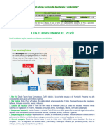 Ficha #24 Los Ecosistemas Del Perú 11-Set-2023