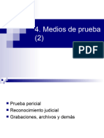 Medios de Prueba