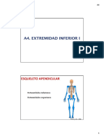 Extremidades Inferiores Extremidades Superiores: Llusá y Cols., 2004