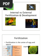Six Essential Nutrients Worksheet Guide | PDF