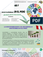 Sostenibilidad y Desarrollo Sostenible en El Perú
