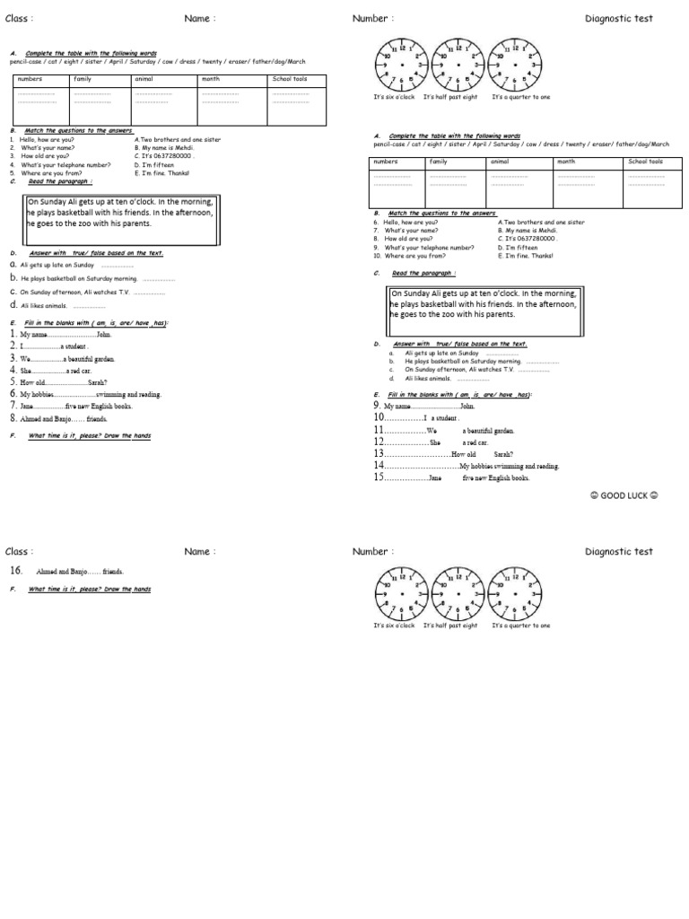 Common Core Diagnostic Test | PDF | Language Arts & Discipline