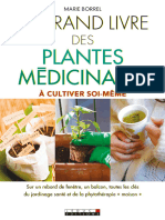 Le Grand Livre Des Plantes Medi - Marie Borrel