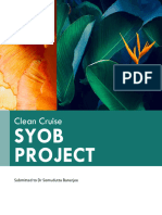 Syob Project