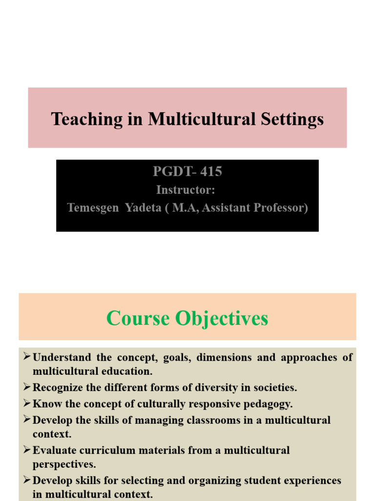 Teaching In Multicultural Settings 1 Pdf Learning Styles Prejudices