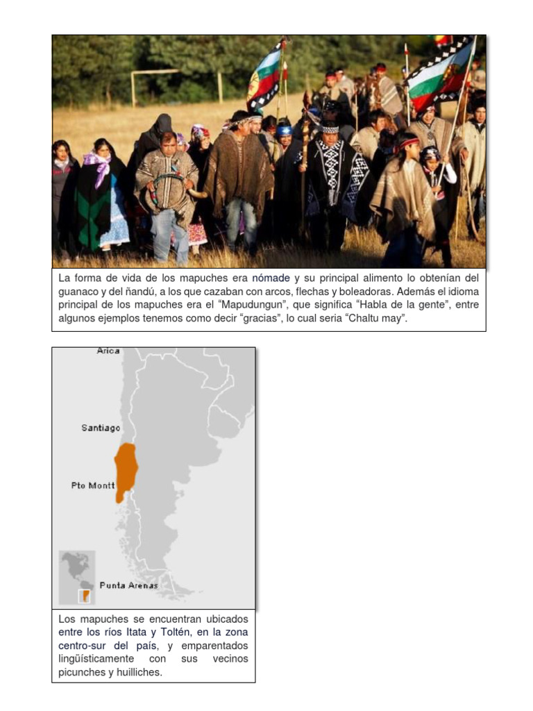 Mapuches Zona Centro-Sur - Chile | PDF