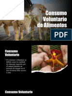 Consumo Voluntario de Alimentos