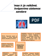 Kvepavimo Sistema Gerai