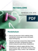 Metabolisme - Enzim