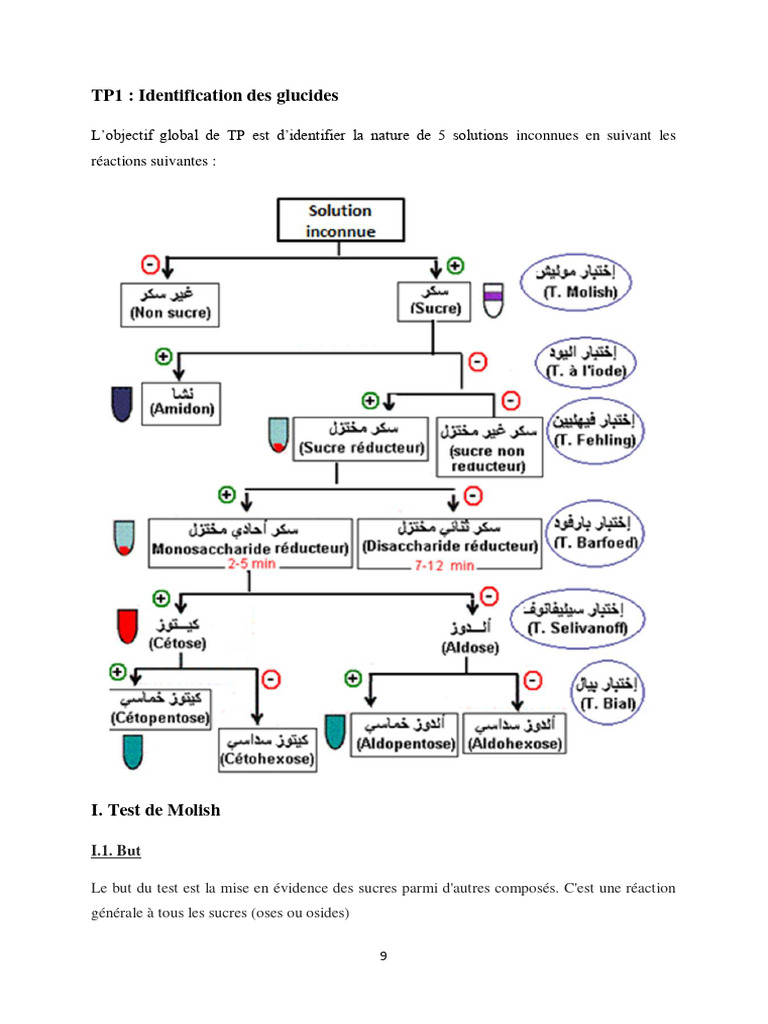 Identification des glucides en TP | PDF | Glucide | Matériaux