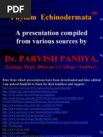 Download 14 Echinoderm at A- Water Vascular System  Larvae by api-3732735 SN6710165 doc pdf