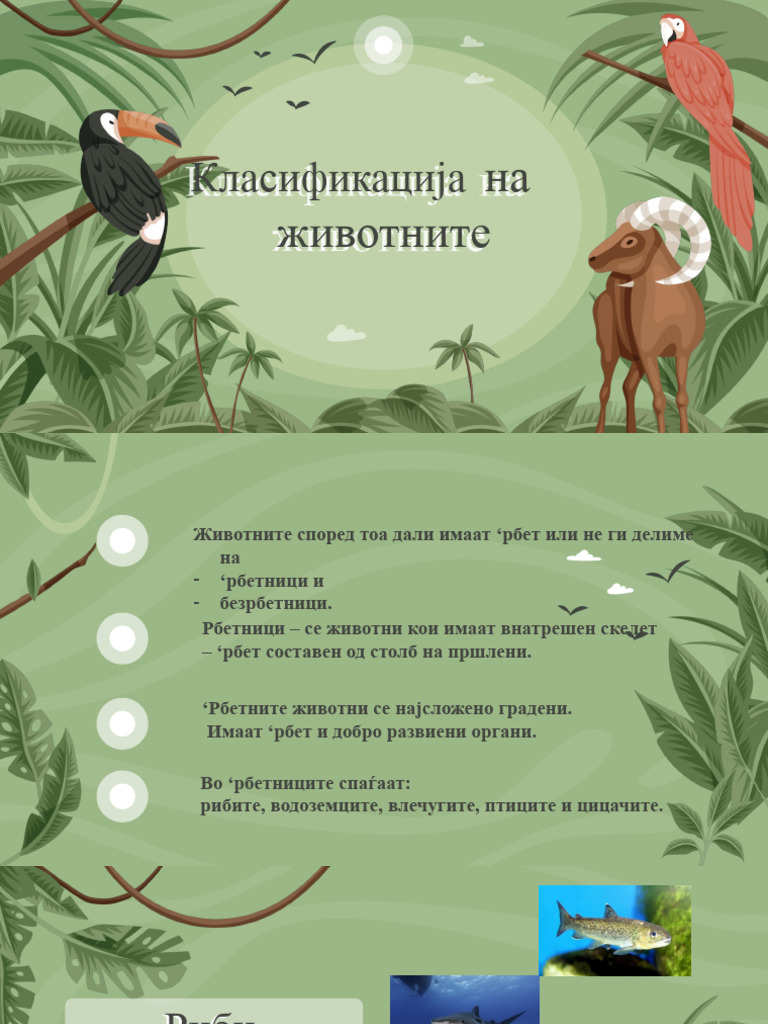 Рбетници | PDF