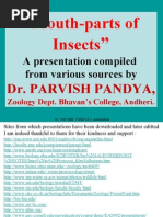 Download 10 Insect Mouth Parts by api-3732735 SN6710206 doc pdf