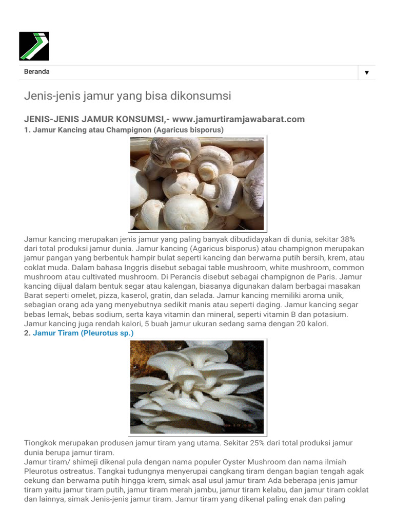 Berbagai jenis jamur dalam keranjang pertanian