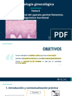 Tema 6 - CG - Nvs