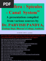Download 4 Porifera Spicules  Canal System by api-3732735 SN6710267 doc pdf