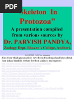 Download 2 Skeleton in Protozoa by api-3732735 SN6710280 doc pdf