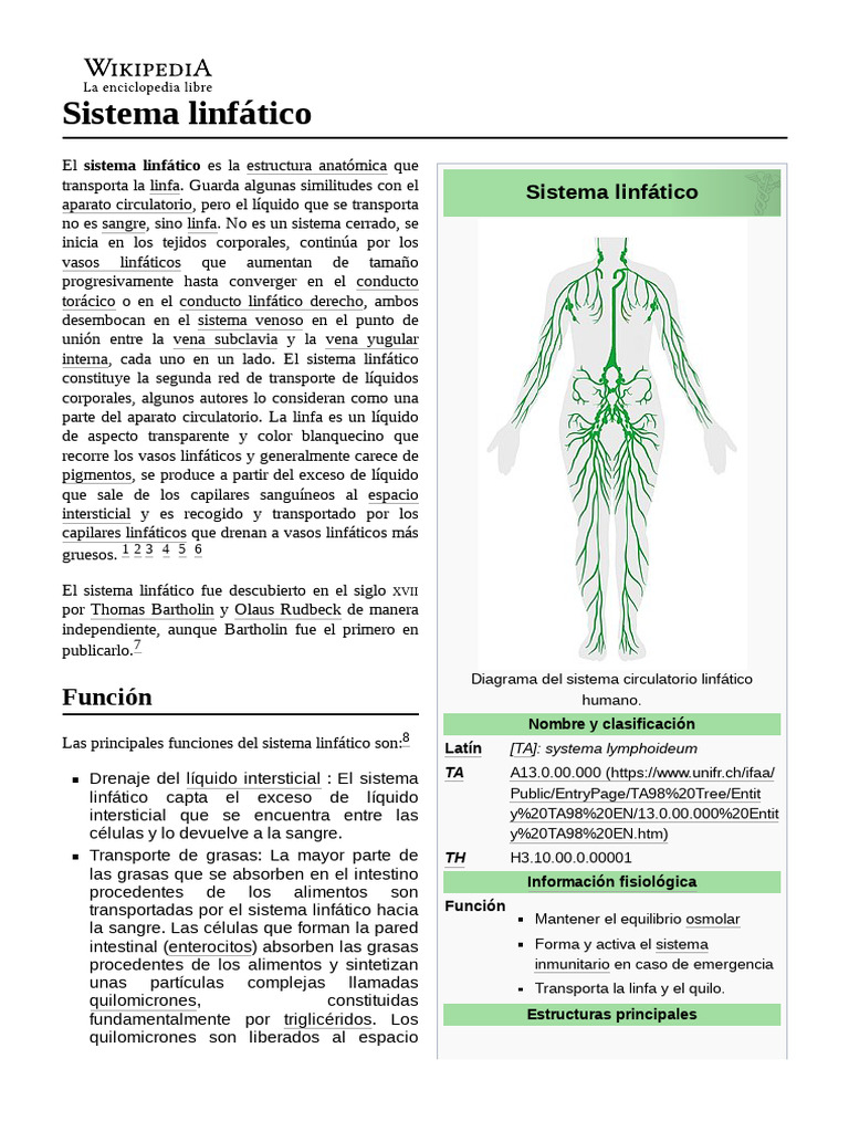 Sistema Linfático Descargar Gratis Pdf Sistema Linfático Linfocitos