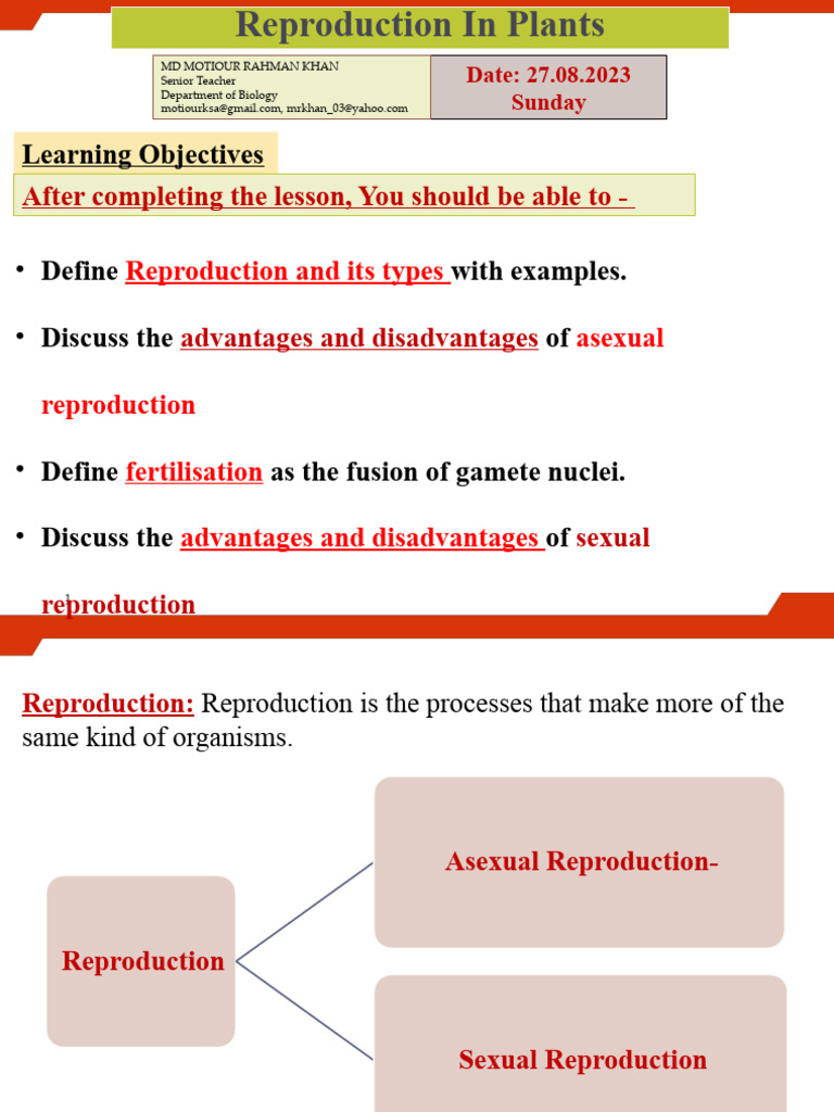 Plant Reproduction: Types & Processes | PDF | Sexual Reproduction | Flowers