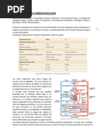 Fisiología Cardíaca: Inotropismo y Más | PDF