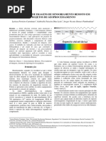 Imagens de Sensoriamento Remoto