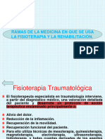 Ramas de La Fisioterapia