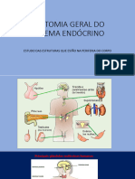 13 - Anatomia Geral Do Sistema Endócrino Humano (2 - 230517 - 082232