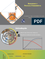 Processos Fermentativos Tipos e Condução