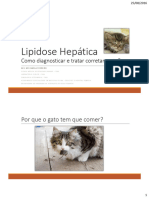 LIVRO Lipidose Hepática Felina