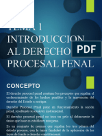 Derecho Procesal Penal Tema 1-1