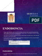 Modulo 4