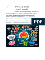 Nuestro Cerebro