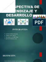 Perspectiva de Aprendizaje y Desarrollo