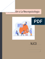 Introducción A La Neuropsicologia.