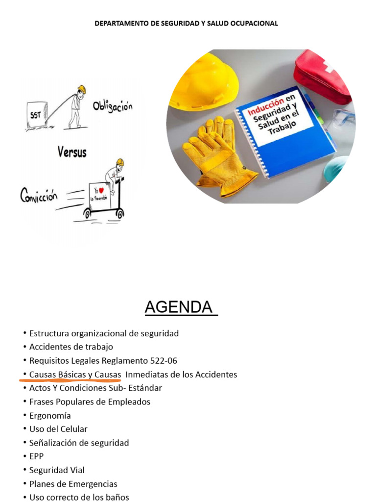 Induccion De Sst Pdf Factores Humanos Y Ergonomía Seguridad Y