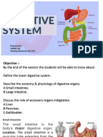 Digestive System Part 02
