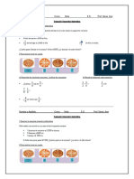 Evaluacion Diagnostico 1er Año 2023