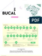 Slides of S Bucal