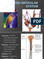 ENGL An.6 OSTEOARTICULAR