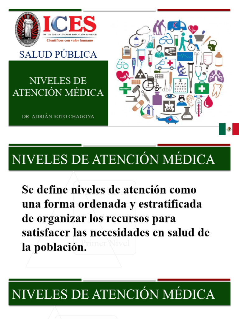 Niveles de Atención Médica en Salud Pública | PDF | Hospital | Sistema ...