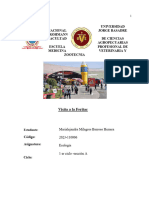 Informe Feritac