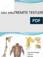 Üst Ekstremite Testleri