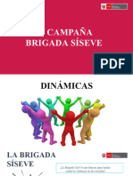 Campaña Brigada Siseve