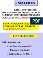 Acidos Nucleicos: Son Polímeros Constituídos Por La Unión Mediante Enlaces Químicos de Unidades Menores Llamadas