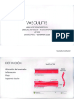 Vasculitis 230907 173503