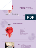 Anatomia de Próstata