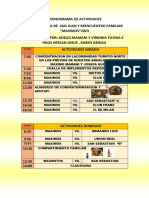 Cronograma de Actividades