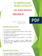 Biomolécula-Ácido Nucleicos