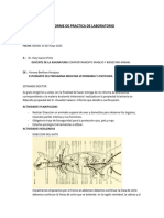 Informe de Laboratorio